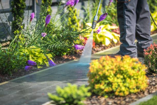Best Gutter Cleaning and Brightening in Eastlawn Gardens, PA