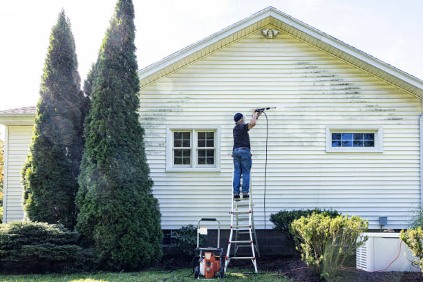 Best Building Exterior Pressure Washing in Eastlawn Gardens, PA